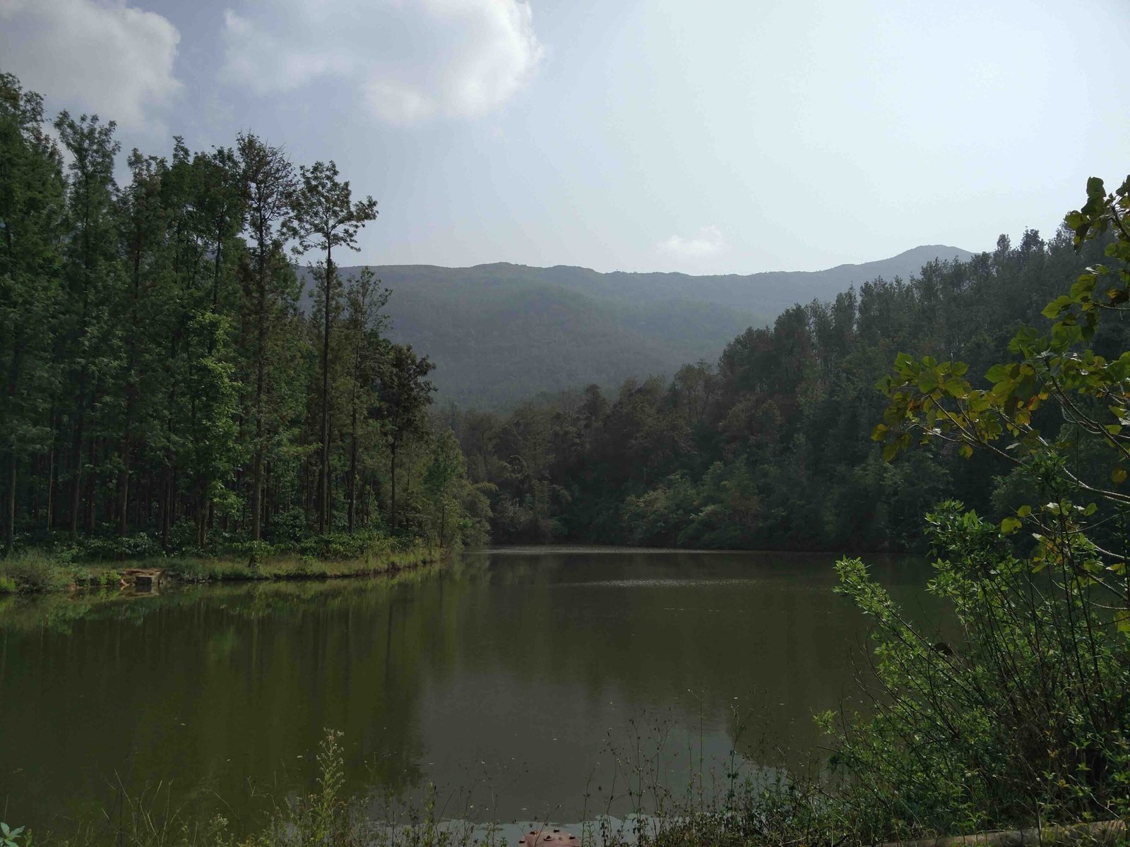 The Malnad Ultra: Latest Addition to the Ultra Running Circuit in India