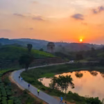Group of beginner runners at sunrise on scenic Indian marathon route with hills and tea estates, top 10 must-run marathons India 2026