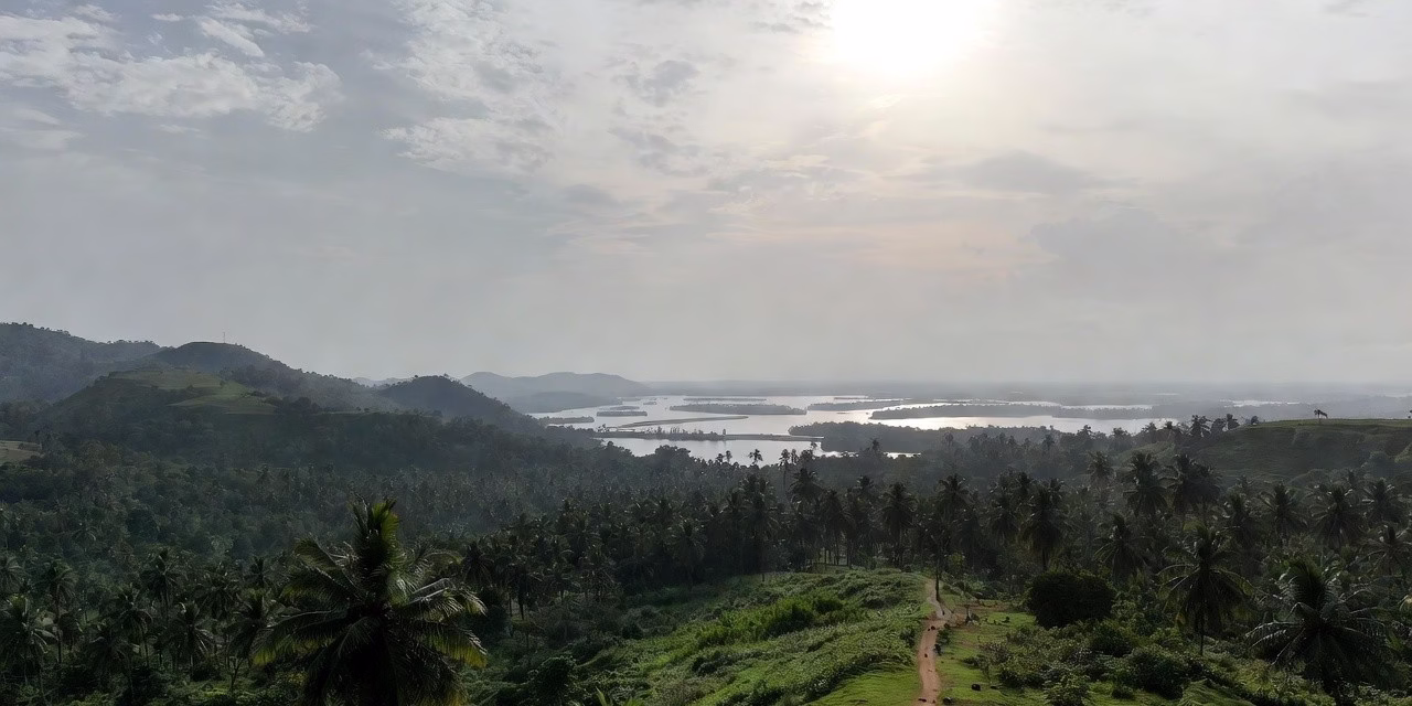 Upcoming marathons in Kerala 2026 calendar – scenic backwaters and palm trees landscape