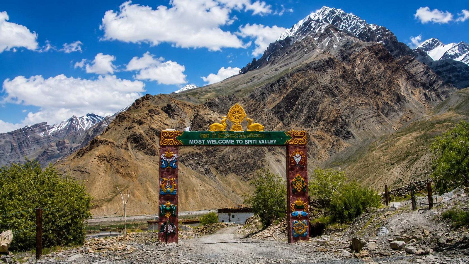 Runners at the Surya Spiti Marathon 2026 on the high-altitude course through Spiti Valley, Himachal Pradesh