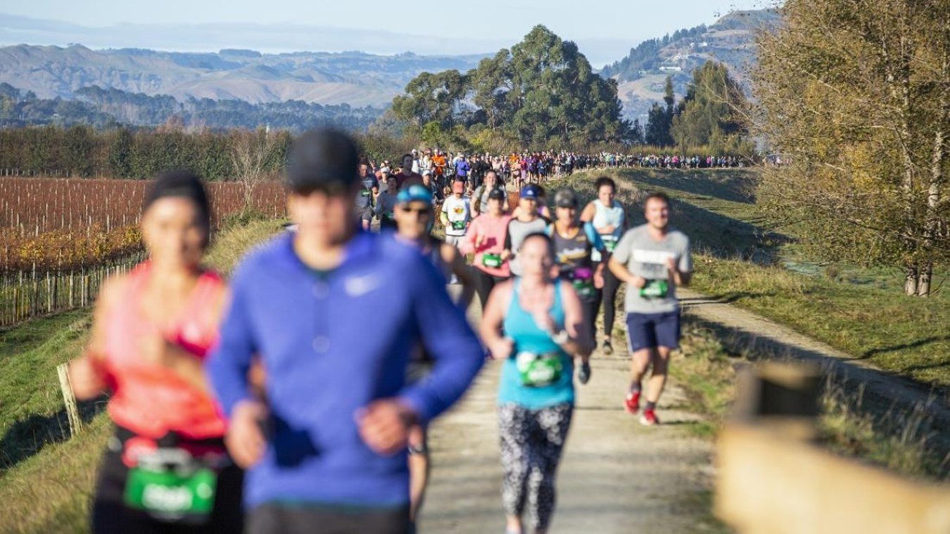 Runaway Hawke's Bay Marathon 2027: Complete Guide, Race Tips & Course 2 Runners on the Runaway Hawke's Bay Marathon course with vineyards in the background