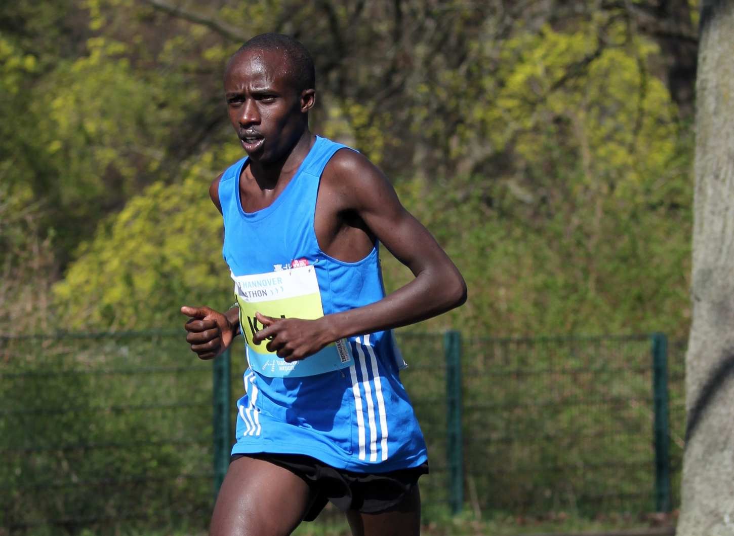 Ronald Kipkoech Korir running at the 2015 Hannover Marathon in a blue Adidas vest